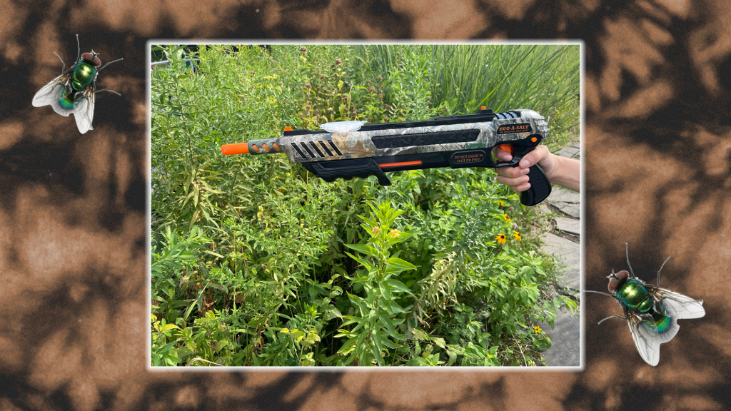 Bug-A-Salt Mosquito Gun Review