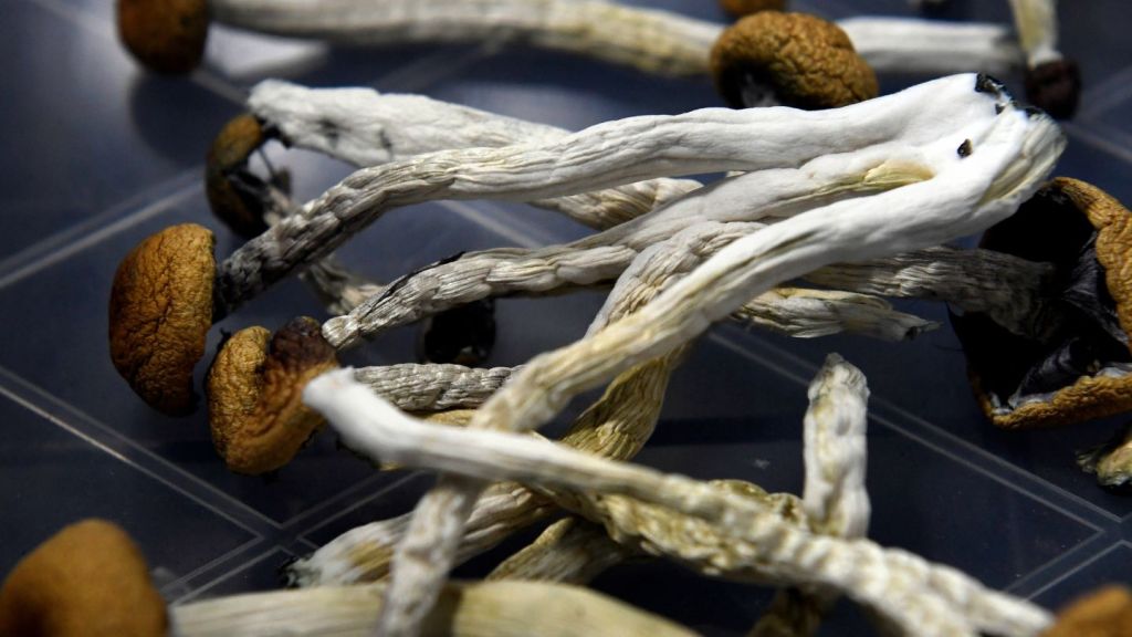 Taking Psychedelics Helps People Face Mortality Like a Near-Death Experience, Study Finds