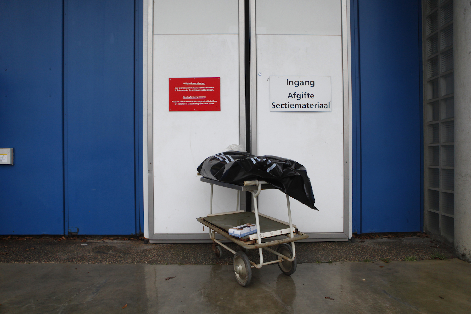 Marielle van Uitert, nature, wolves - Photograph of a wolf wrapped in a black bodybag on a medical trolley outside a set of large white doors.