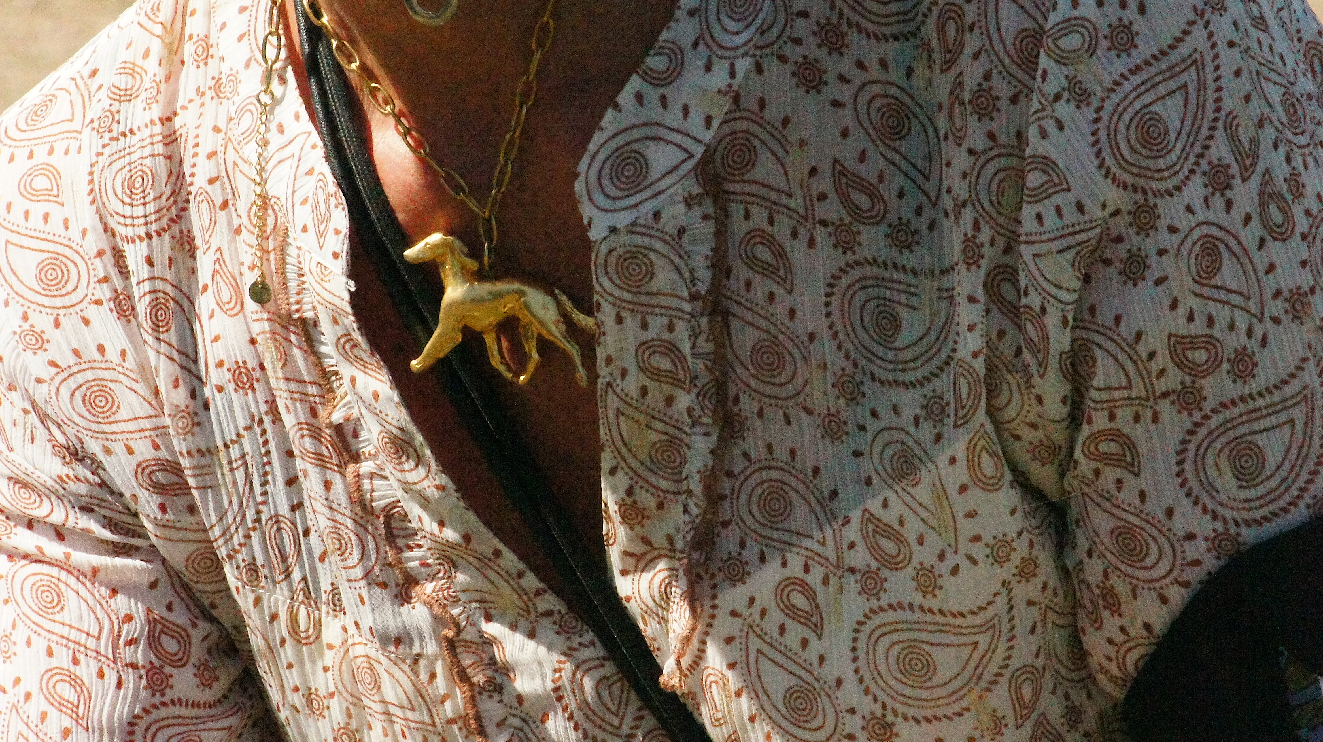 Afghan hound show – close up showing someone's gold necklace, shaped like an afghan hound