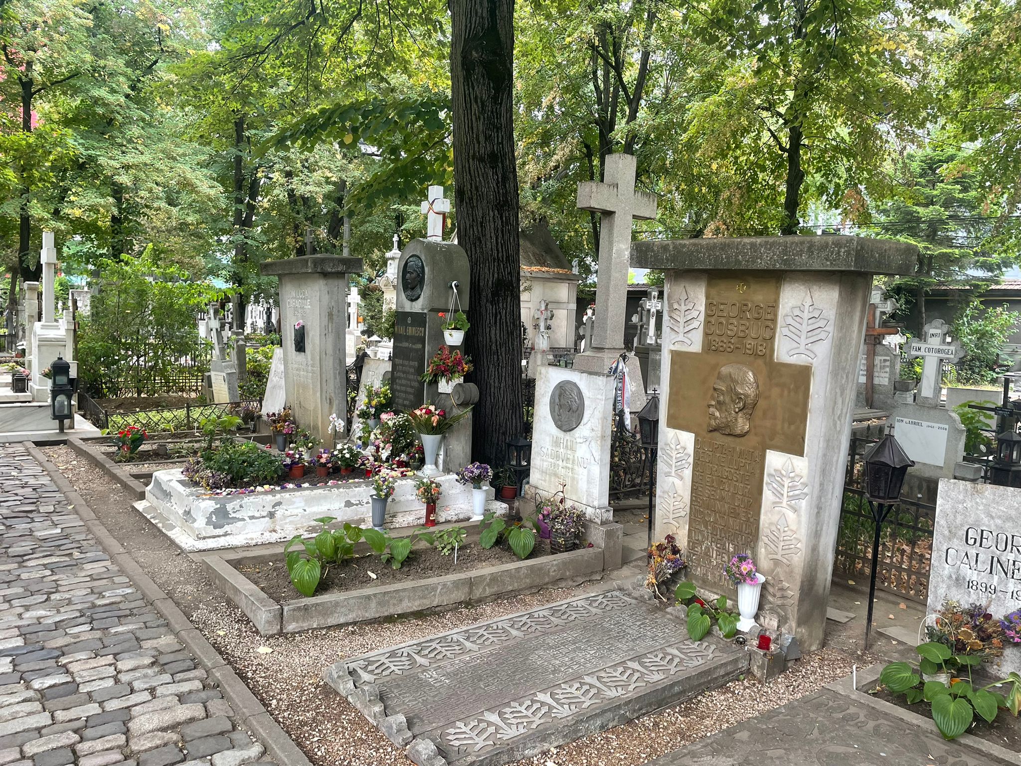 atractii turistice cimitirul bellu excursie tur ghidat