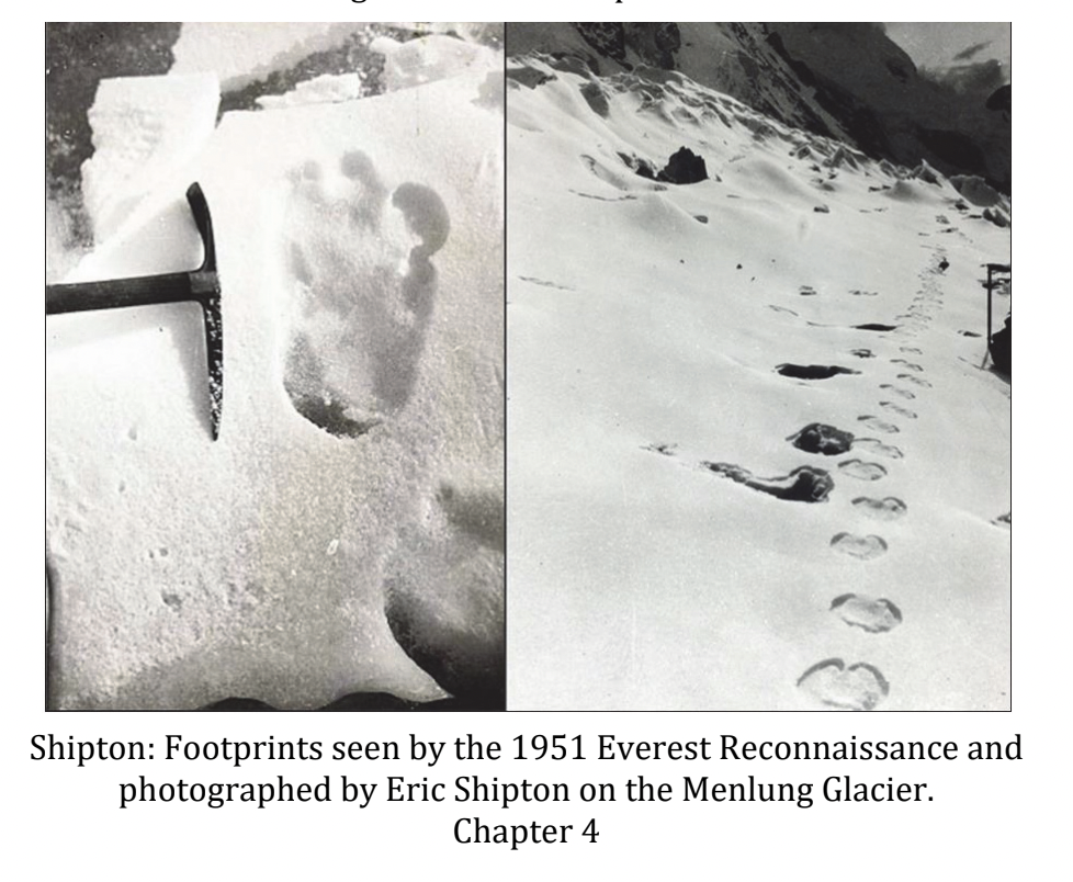 Two photographs purporting to show Yeti footprints in the snows of Mount Everest.