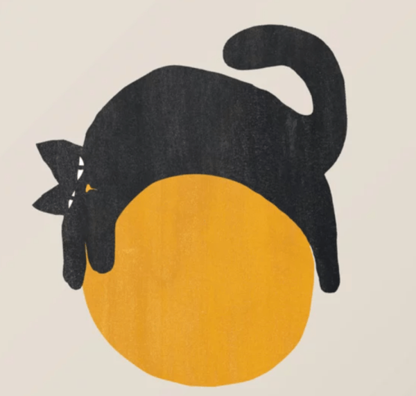 Cat With Canvas Ball