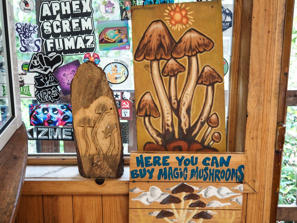 Shrooms 1