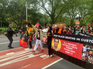 Indigenous protestors