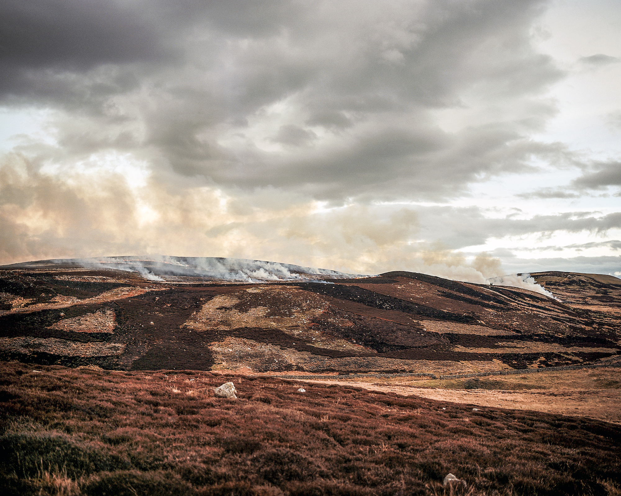 Heather burning on Grouse Moor in the northeast of England by Joanne Coates