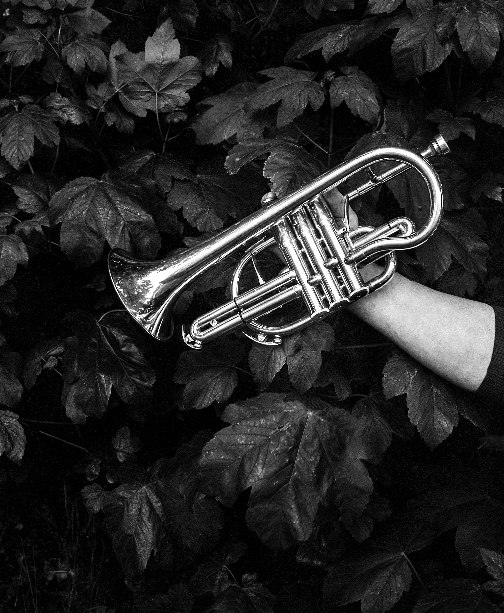 A woman holding a trumpet in the northeast of England by Joanne Coates