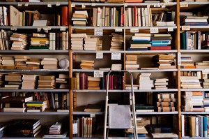 Stacks of shelved books in a library