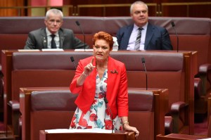 Pauline Hanson in the senate