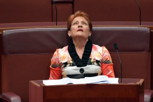 Pauline Hanson in the Senate