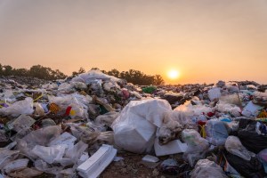 Scientists and the Military Want Us to Eat Food Made From Plastic