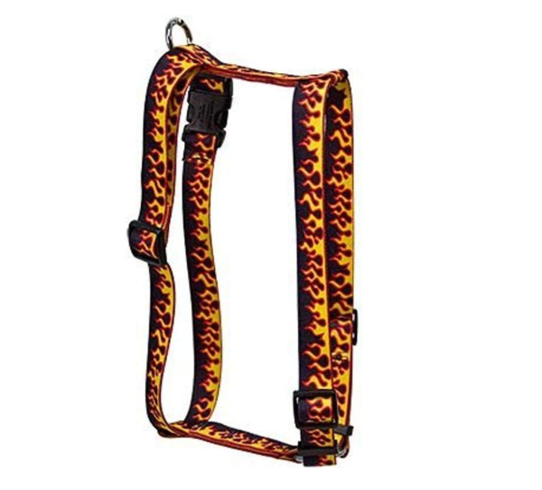 Red Flames Harness