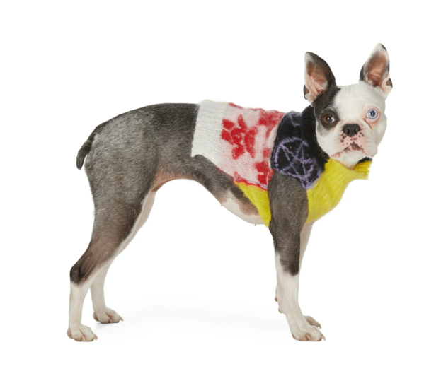 Multicolor Mohair Patchwork Dog Sweater