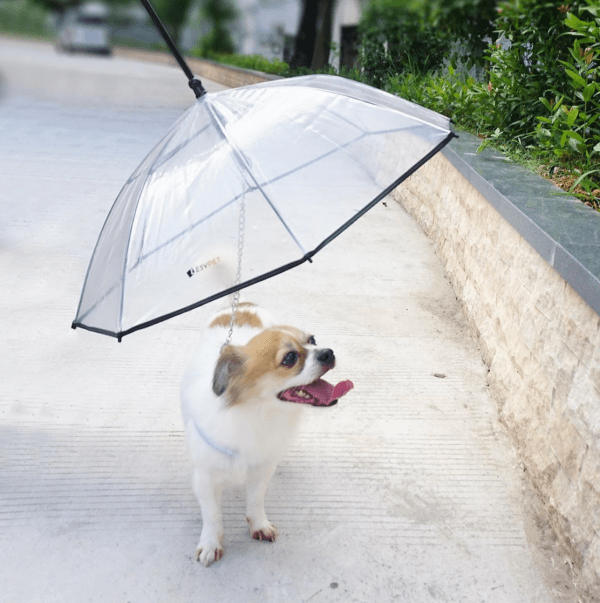 LesyPet leash umbrella