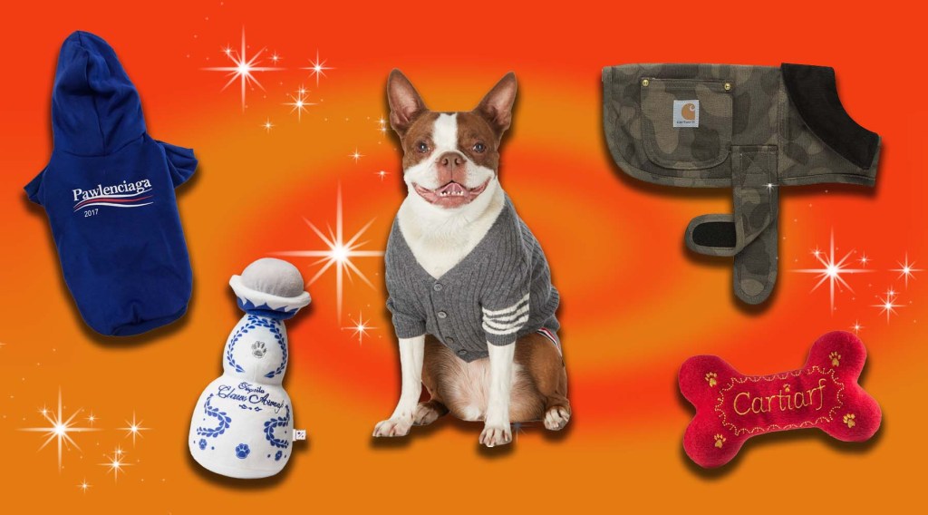 Streetwear for Dogs Is Out of Control and We Love It