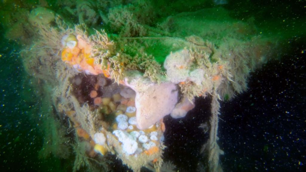 A Nazi Shipwreck Is Leaking Toxic Chemicals Into the North Sea