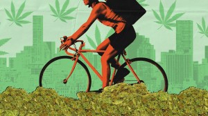 Weed courier bikes through New York City