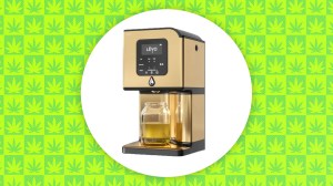 levo herbal infuser sale