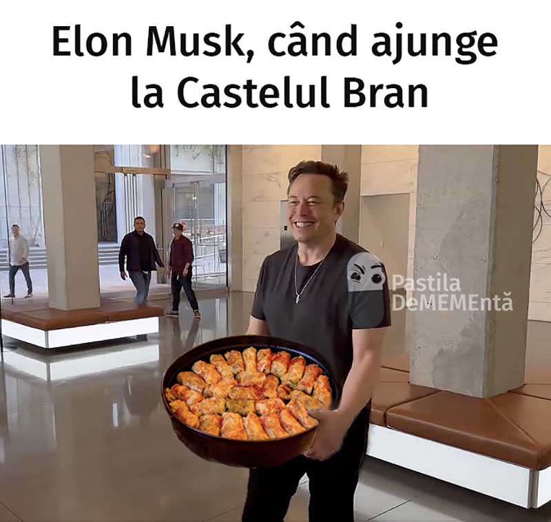 elon musk la castelul bran