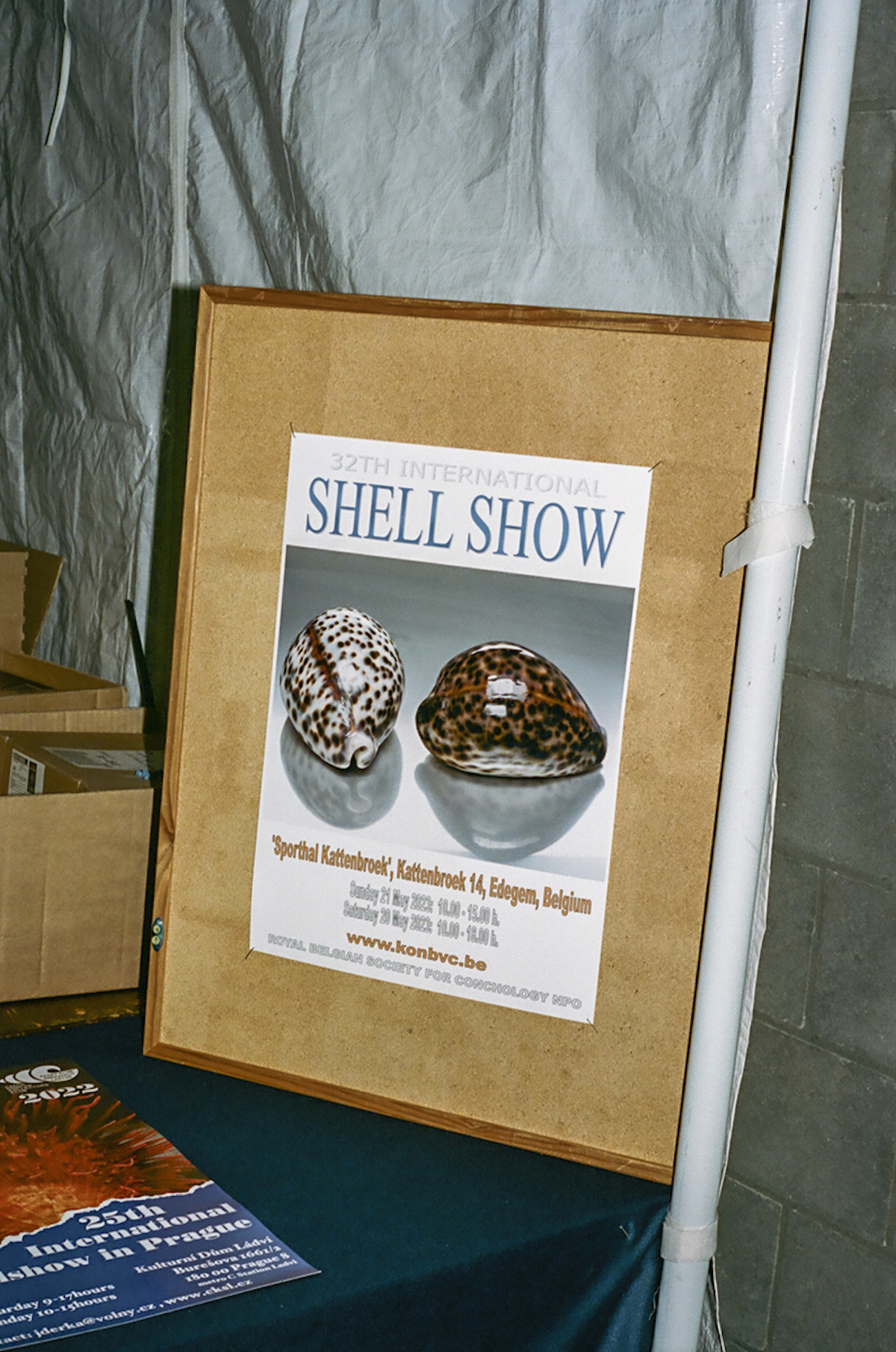 Shell Show door Eva Donckers 13740030.jpg