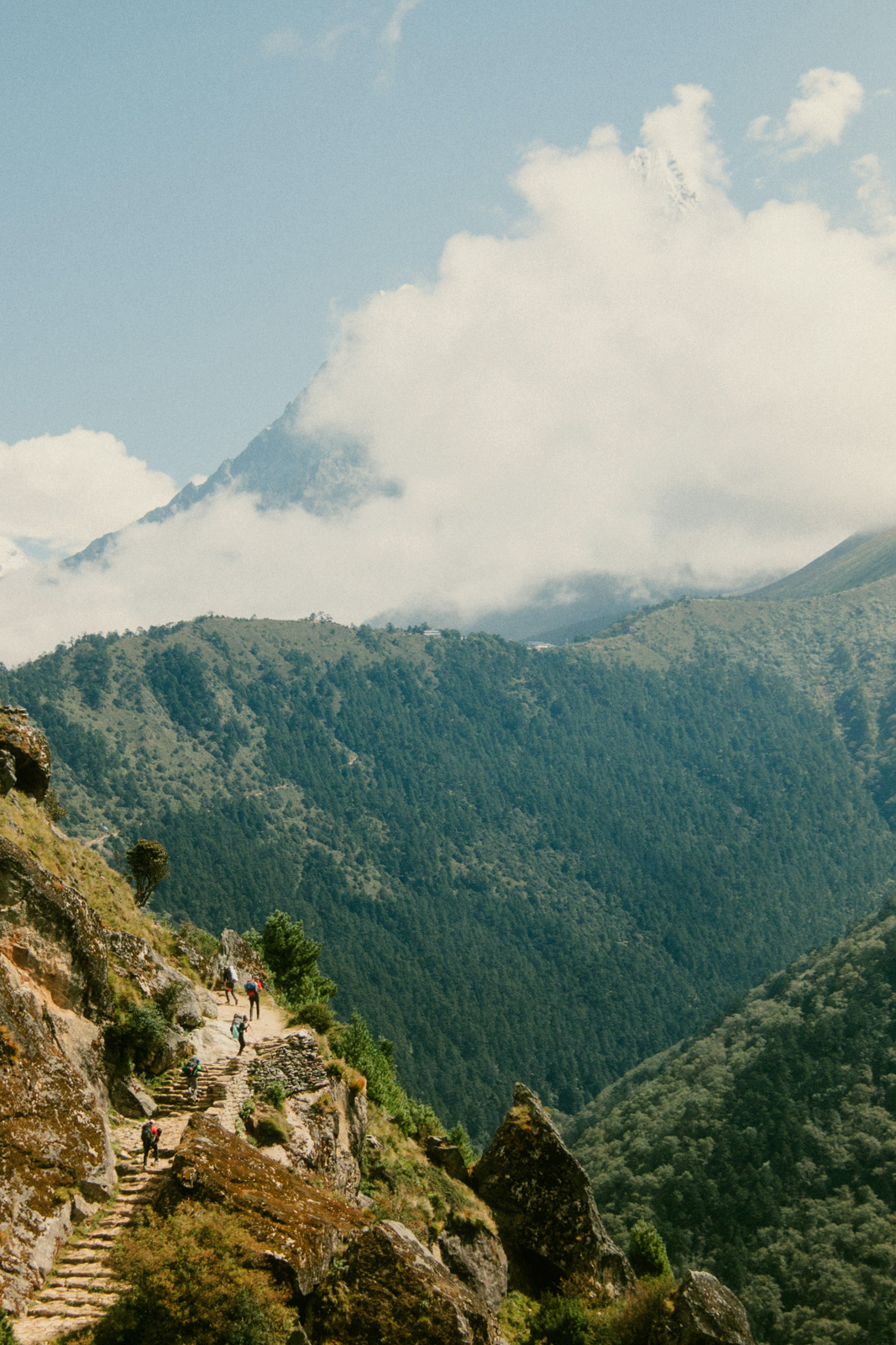 Tengboche, Nepal – narrow path by the side of a mountain covered in small shrubs and pine trees. In the background, the mountain peak is completely covered by tick clouds.