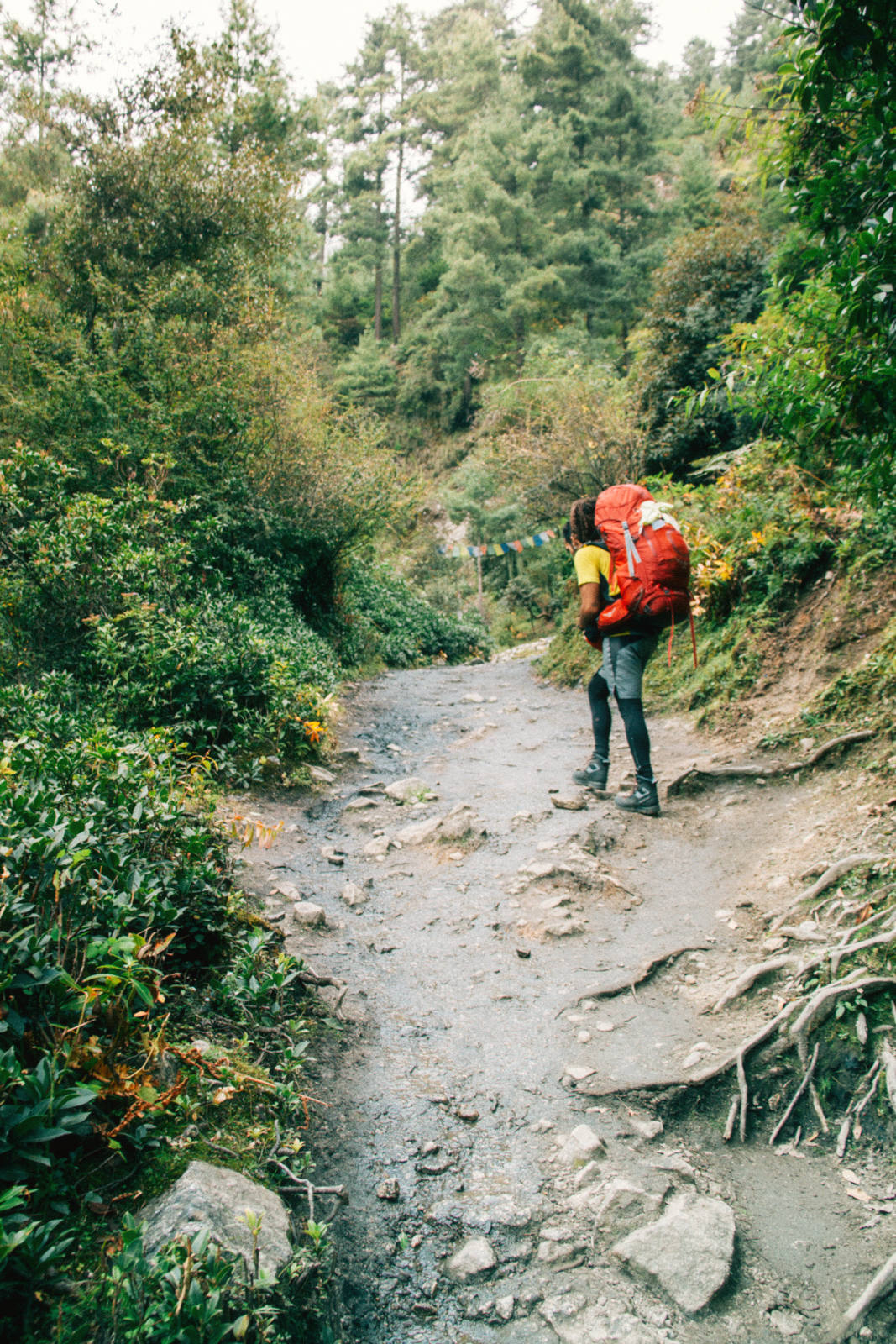 Von Phakding nach Namche Bazar – Foto eines schmalen Bergpfads zwischen Sträuchern und Kiefern mit einem Mann, der einen großen Rucksack trägt