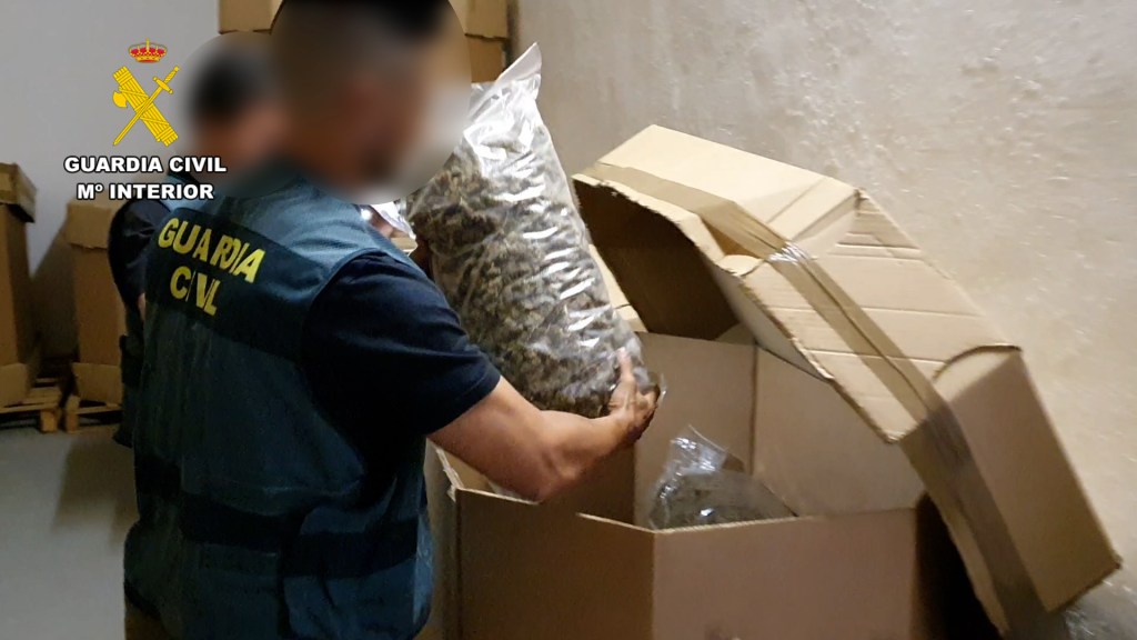 spain-cannabis-seized