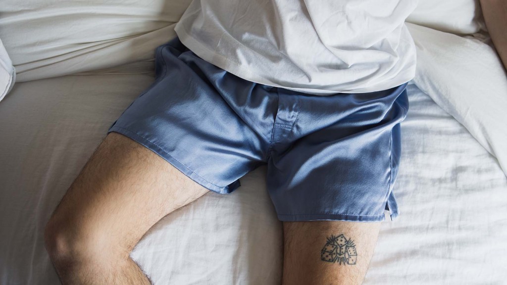 Are Simply Boxers' Silk Boxers Worth It?