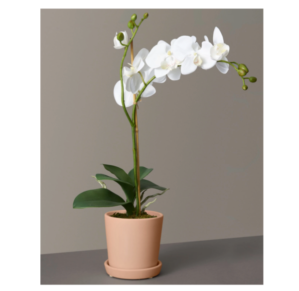 Faux Orchid Phalaenopsis