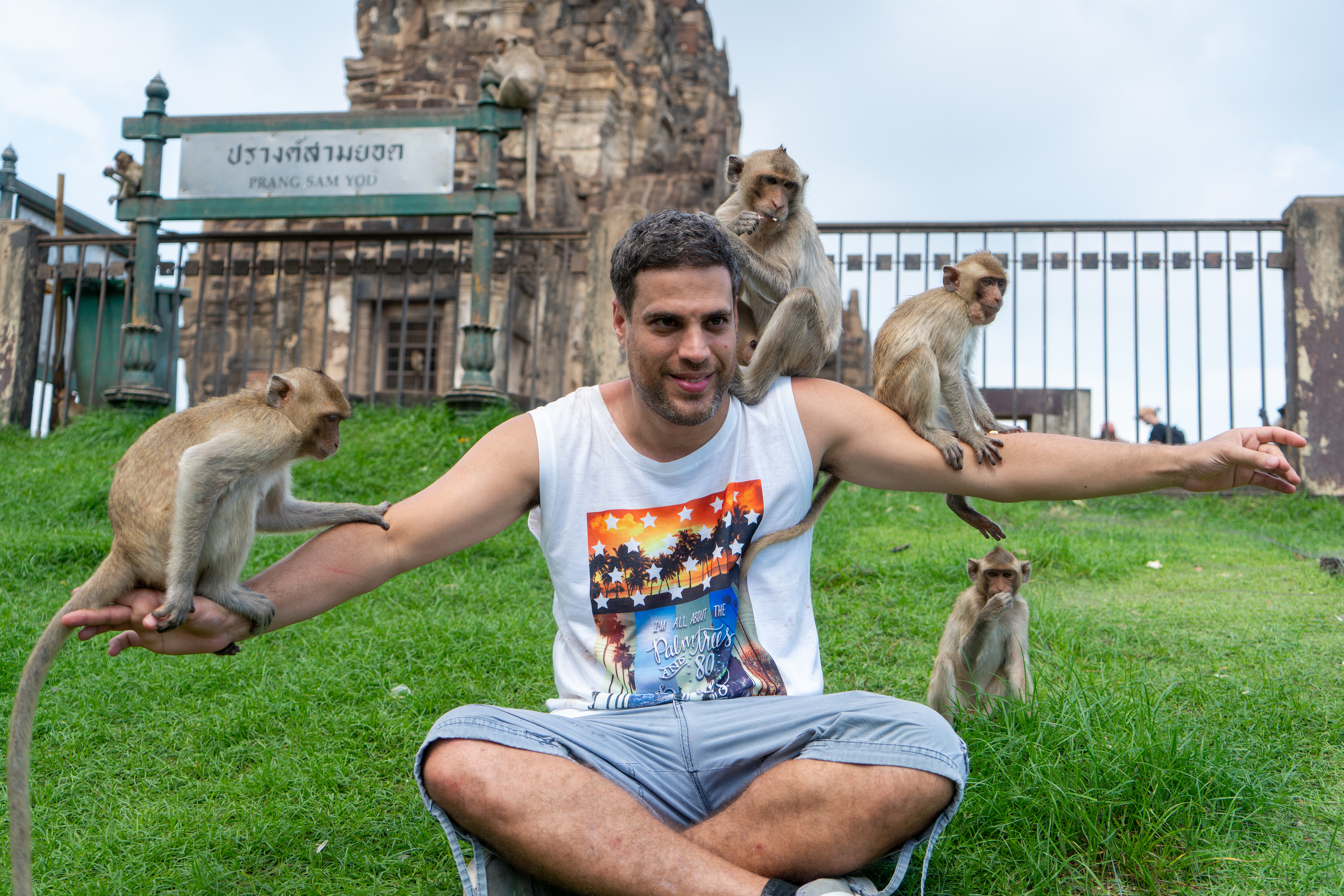 photos of thailand's monkey buffet festival in lopburi