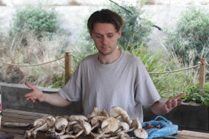 Man looking at pile of foraged mushrooms