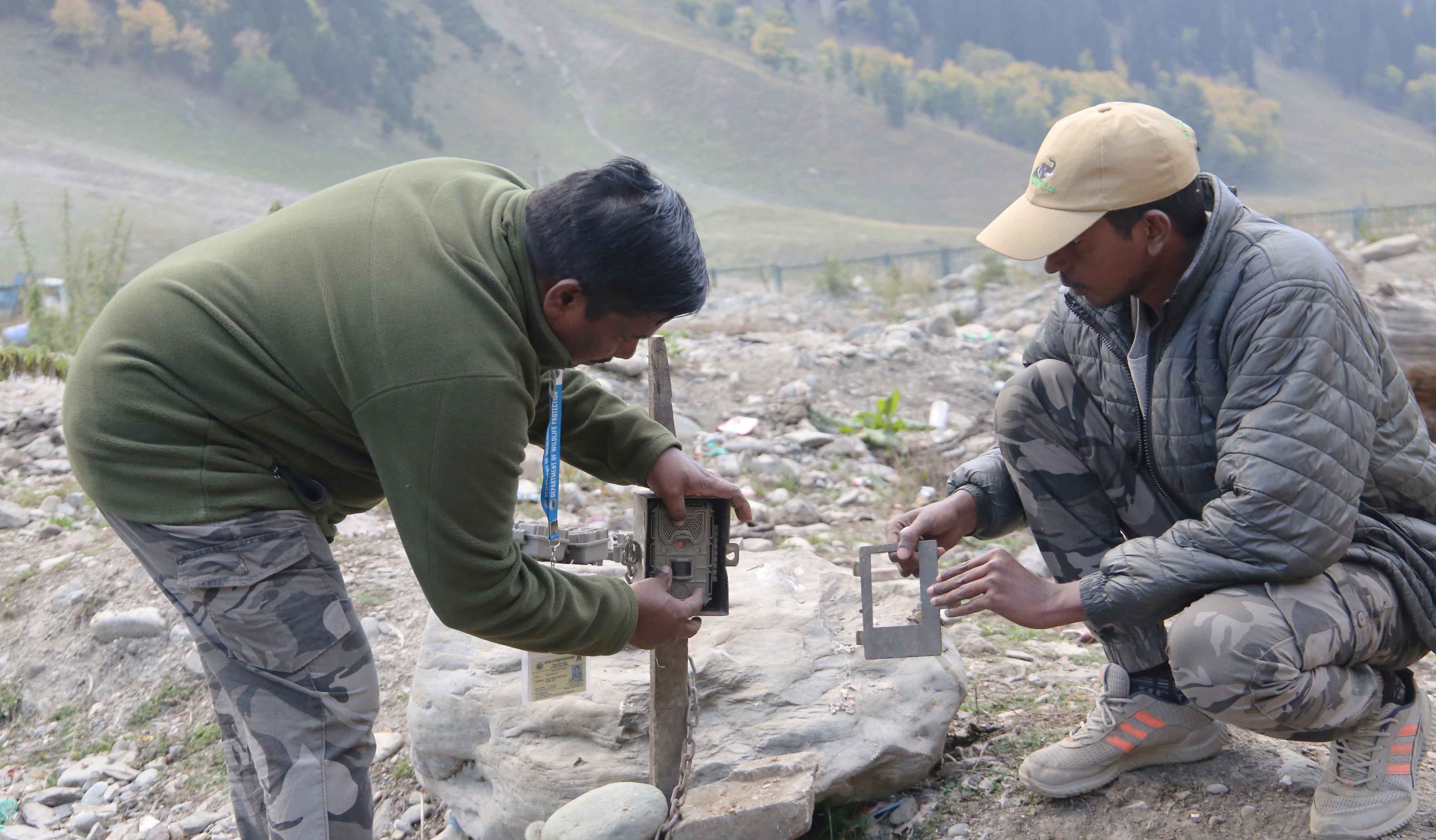 Dua orang memasang kamera jebakan di Kashmir.