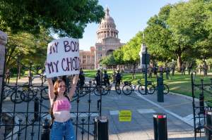 texas-republican-abortion-fetal-tissue-food-bill