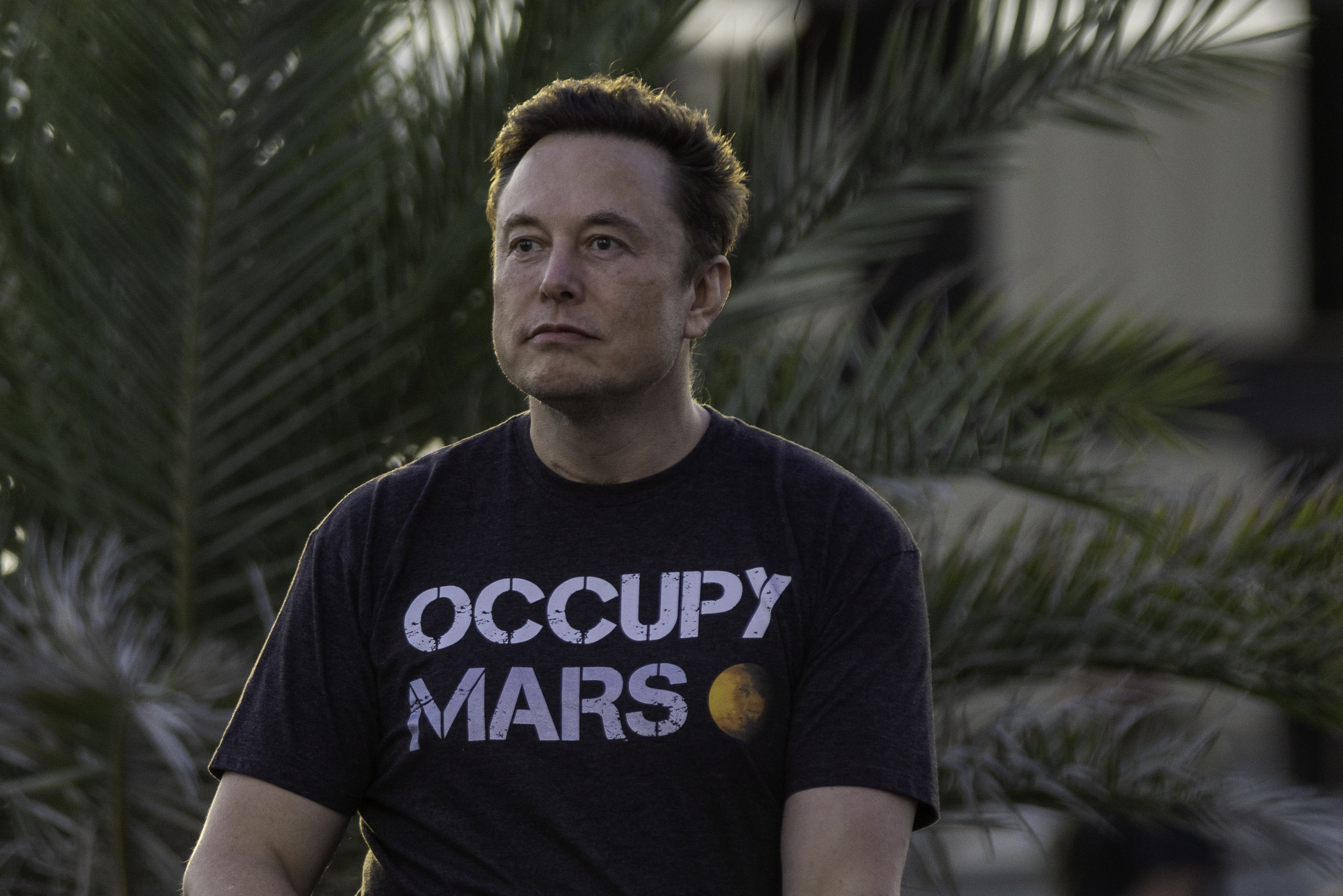 Elon Musk has donated up to $14 million to the Future of Life Institute. Photo: Michael Gonzalez/Getty Images