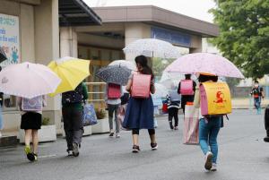 Jepang, Kekejaman Terhadap Binatang, Pembunuhan Kucing