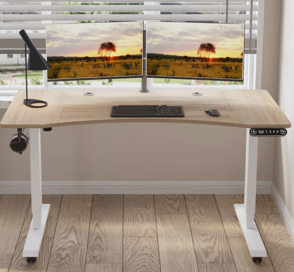 Daiah Ergonomic Adjustable Standing Desk