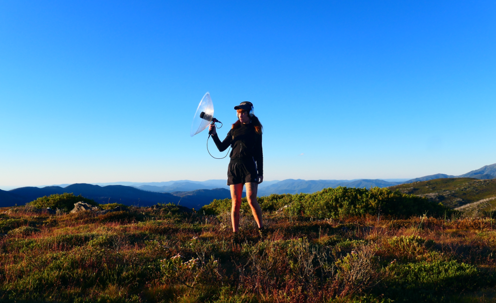 Bridget Chappell, the artist, standing in a field with a radio receptor