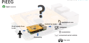 This Affordable Device Will Let Anyone Connect Their Brain to a Computer