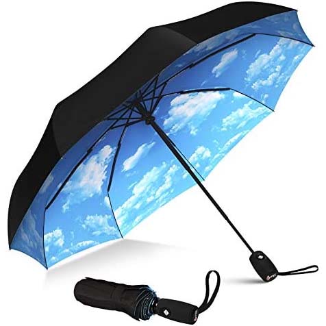 The Original Portable Travel Umbrella