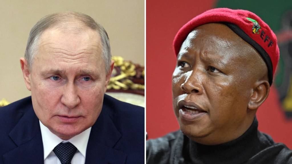 Vladimir Putin​ and Julius Malema​