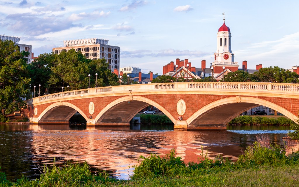 harvard university