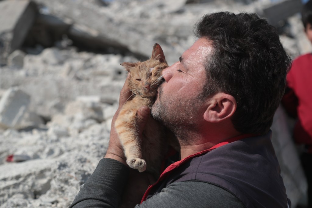 Mohammed Alaa Aljaleel, Cat Man of Aleppo – bearded middle-aged man kissing a small orange cat covered in dirt in the middle of rubble.