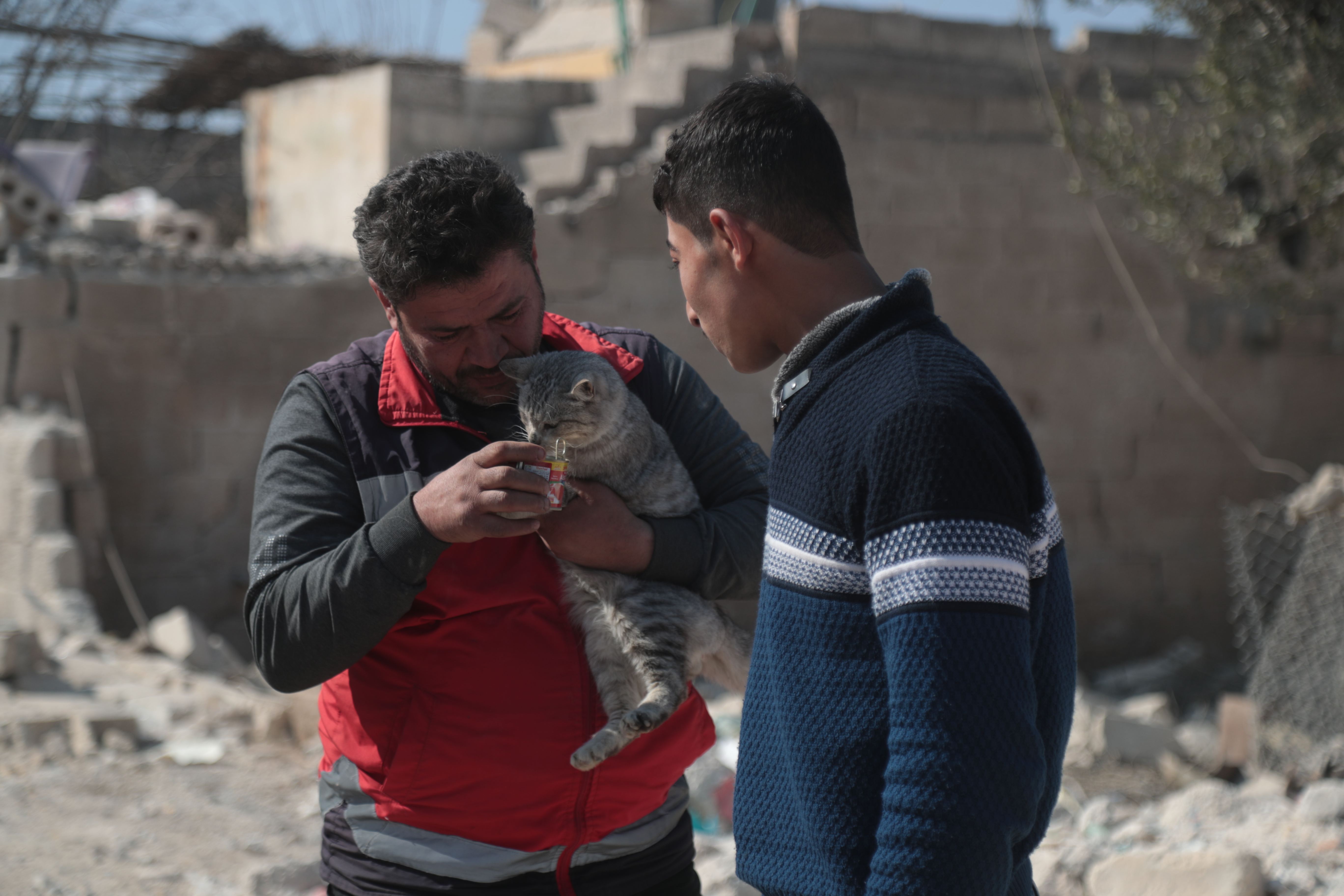 Mohammed Alaa Aljaleel, Cat Man of Aleppo – two men in winter clothes tending to a grey tabby cat in the middle of rubble. One of them is giving it water.