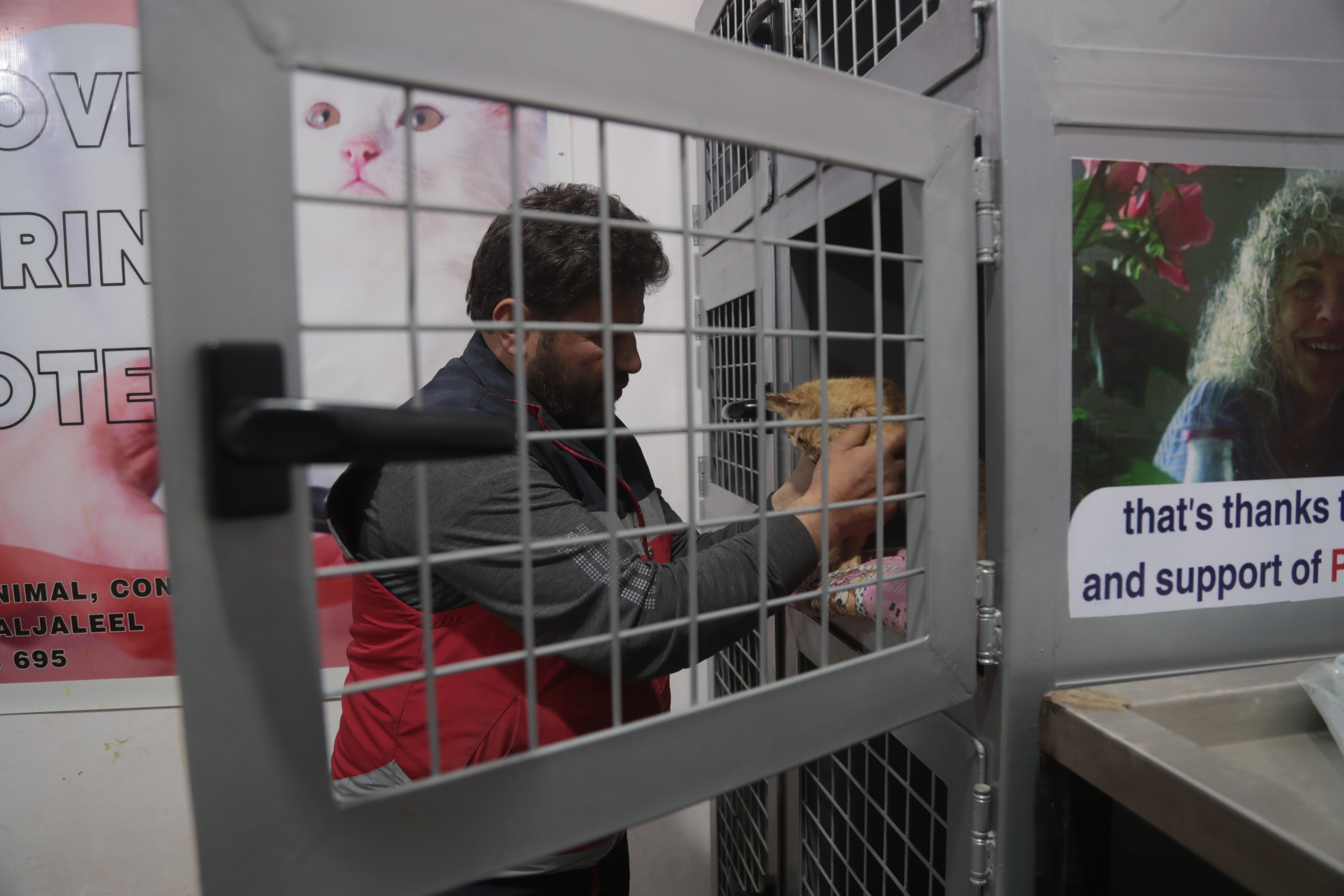 Mohammed Alaa Aljaleel, Cat Man of Aleppo – man with dark hair and a beard, petting an orange cat inside a small cage.