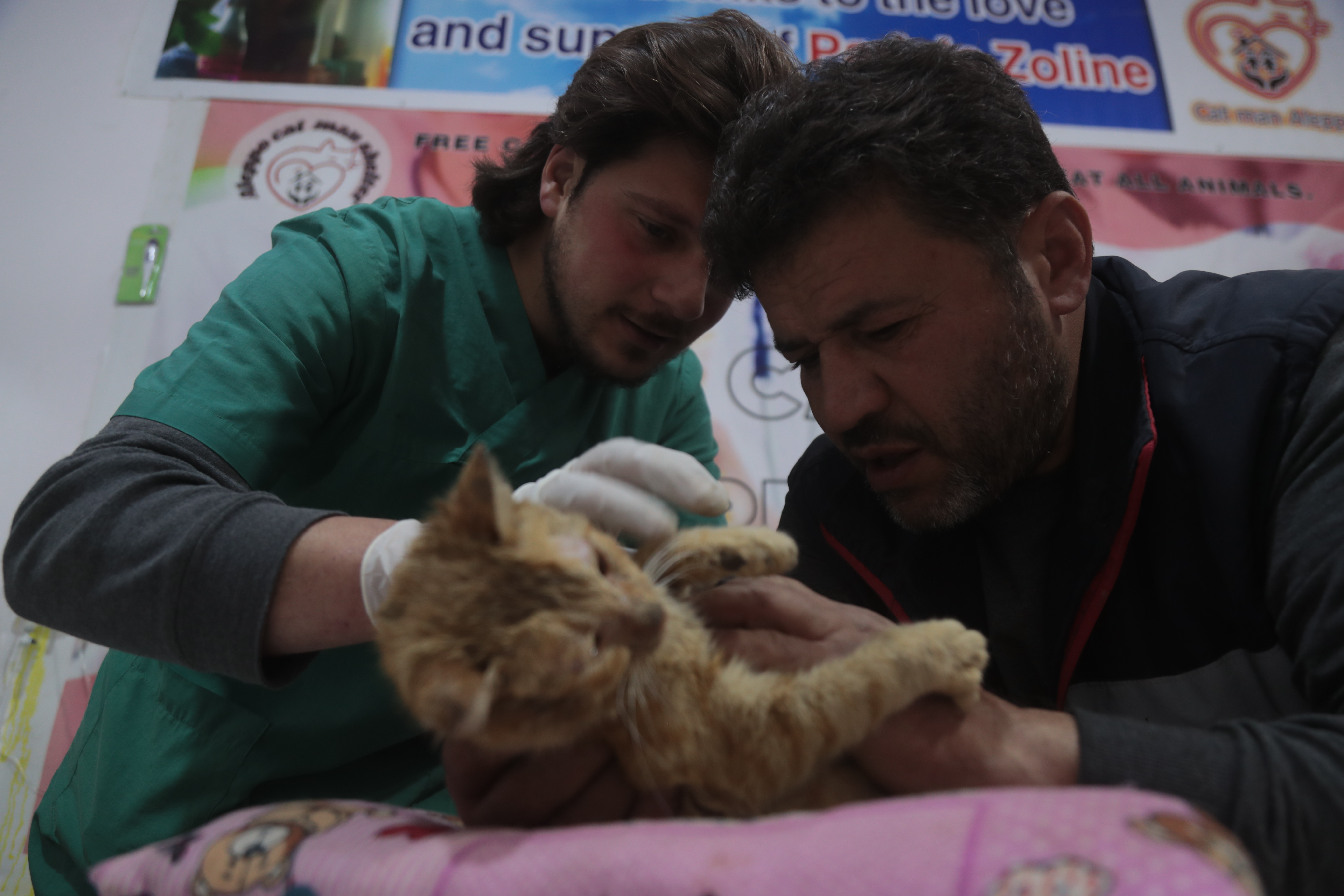 Mohammed Alaa Aljaleel, Cat Man of Aleppo – two men administering medication to a small orange cat