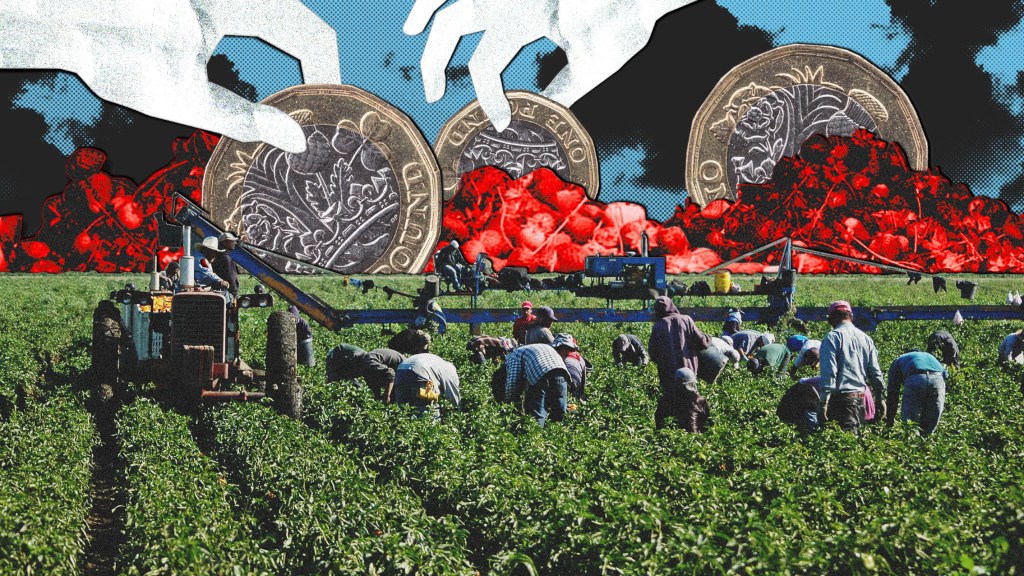 migrant fruit pickers britain wage theft