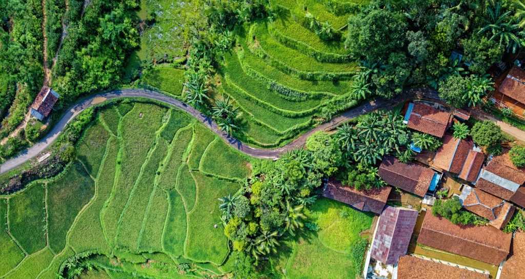 Pematang sawah