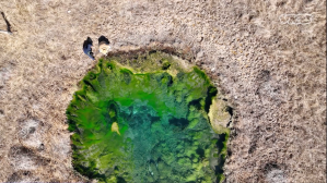 VICE News' Krishna Andavolu and Patrick Donnelly examine a pond in Railroad Valley, NV. In that water, which is rich in lithium, is a species of fish that lives in Railroad Valley and nowhere else on Earth.