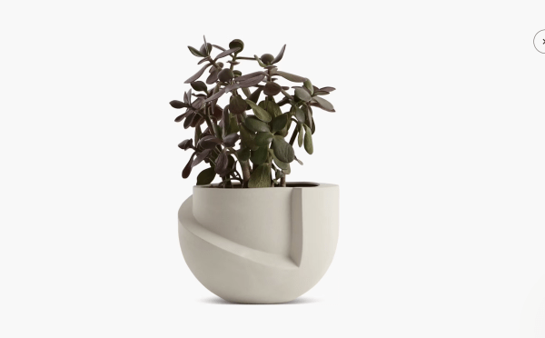 Vayu Planter