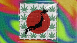 A collage of acid tabs with a weed sign on front, the japa